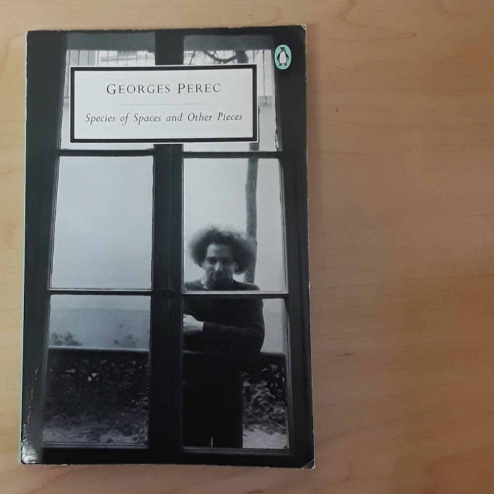 Species of Spaces and Other Pieces by George Perec